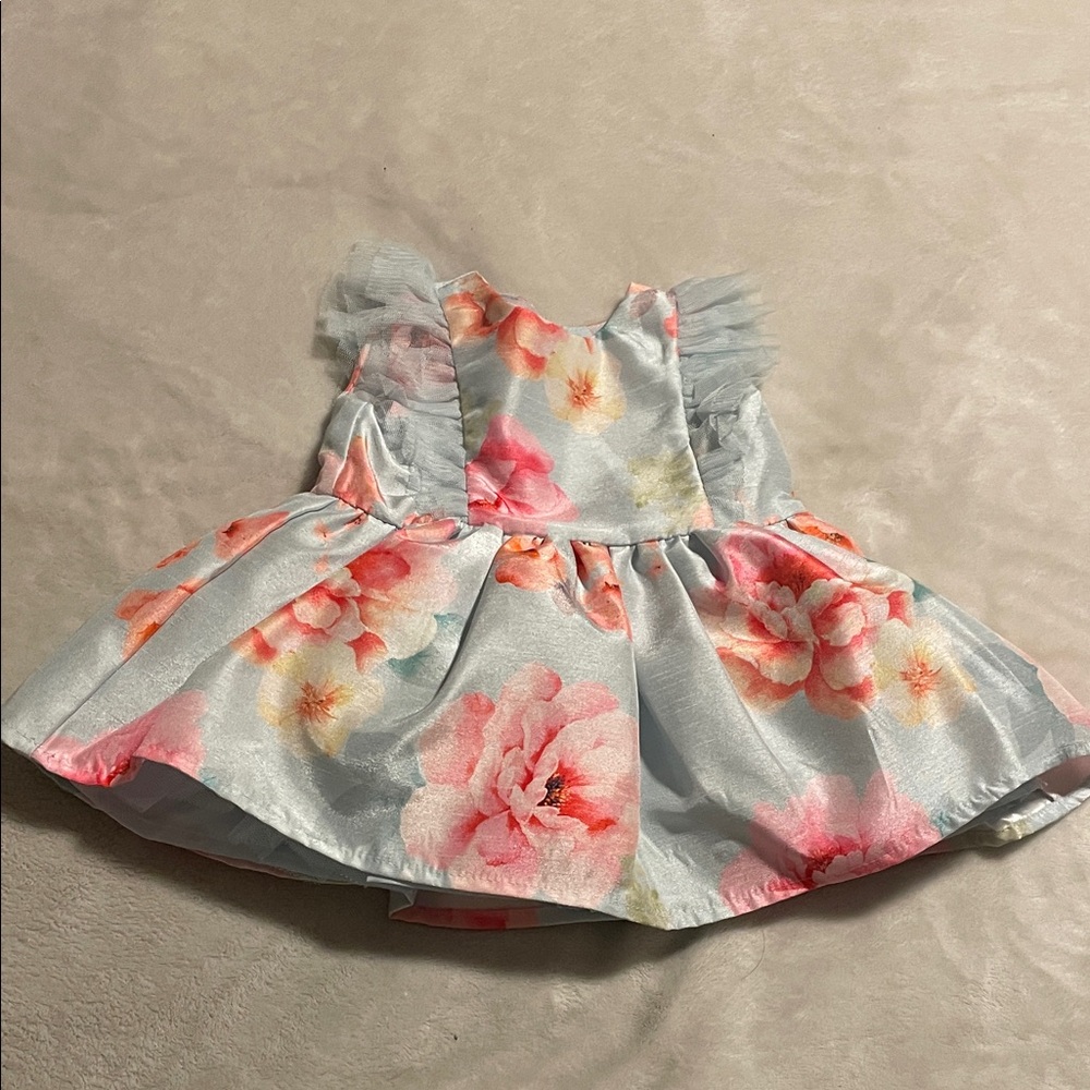 Floral Baby Dress with Ruffle Sleeves